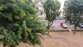 Photo n°3