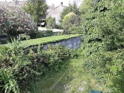 Photo n°5