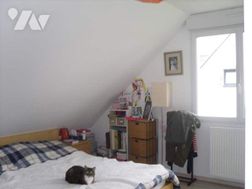 Photo n°8