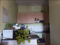 Photo n°4