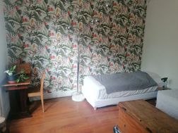 Photo n°1