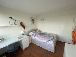 Photo n°2