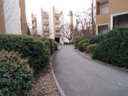 Photo n°1
