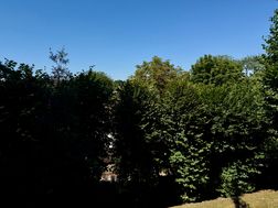 Photo n°4
