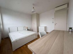 Photo n°4