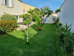 Photo n°6