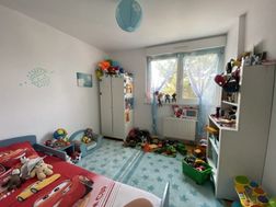Photo n°8