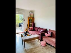 Photo n°3