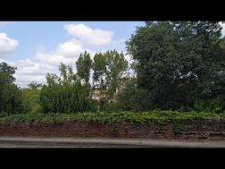 Photo n°7