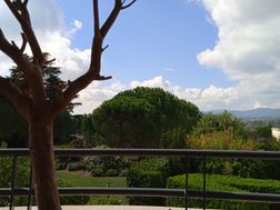Photo n°5