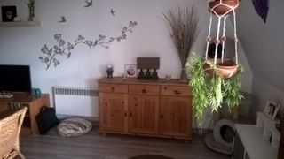Photo n°4
