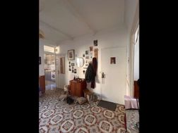 Photo n°6