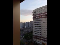 Photo n°15