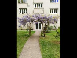 Photo n°1