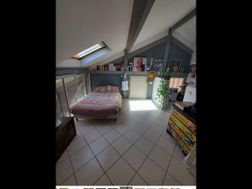 Photo n°1