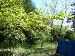 Photo n°3