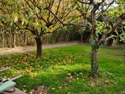 Photo n°6