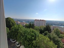 Photo n°1