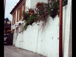 Photo n°4