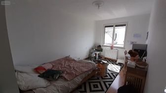 Photo n°6