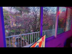 Photo n°3