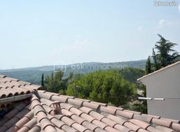 Photo n°4
