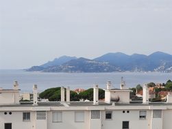 Photo n°1