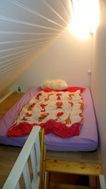 Photo n°4
