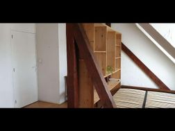 Photo n°3