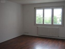 Photo n°6