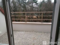 Photo n°5