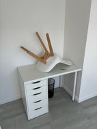Photo n°2