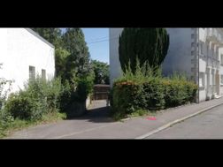 Photo n°8