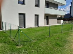 Photo n°1