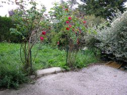 Photo n°4