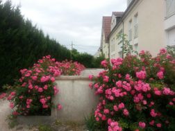 Photo n°2