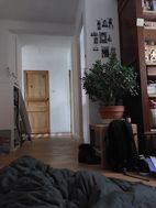 Photo n°6