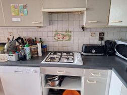 Photo n°5