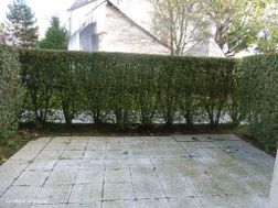 Photo n°6