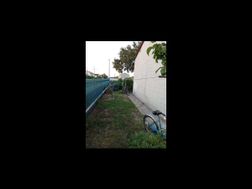 Photo n°4