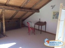 Photo n°4