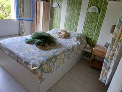 Photo n°7