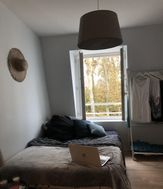 Photo n°3