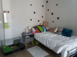 Photo n°2