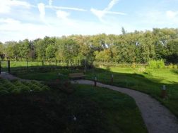 Photo n°6