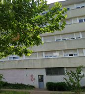 Photo n°1