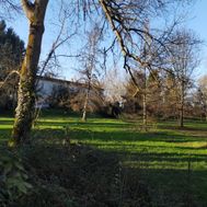 Photo n°6