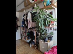 Photo n°14