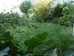 Photo n°4