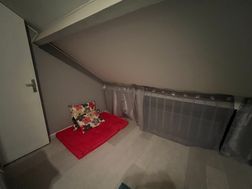 Photo n°4